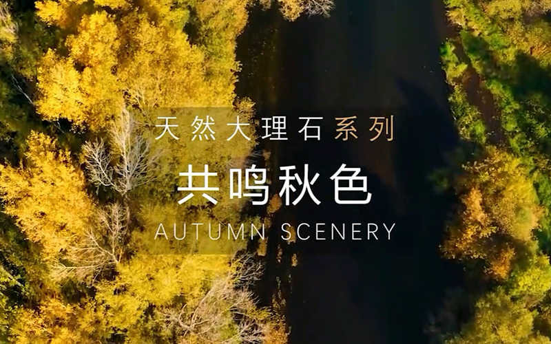 共鸣秋色