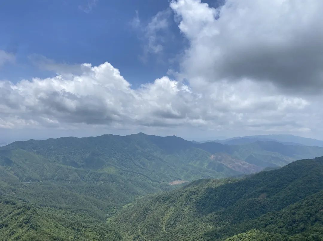 聚力同行，勇攀高峰丨通利大理石瓷砖团队成功登顶佛山第一峰(图2)