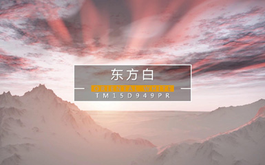 715大理石瓷砖--东方白