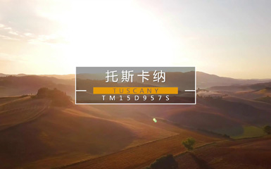 715大理石瓷砖--托斯卡纳