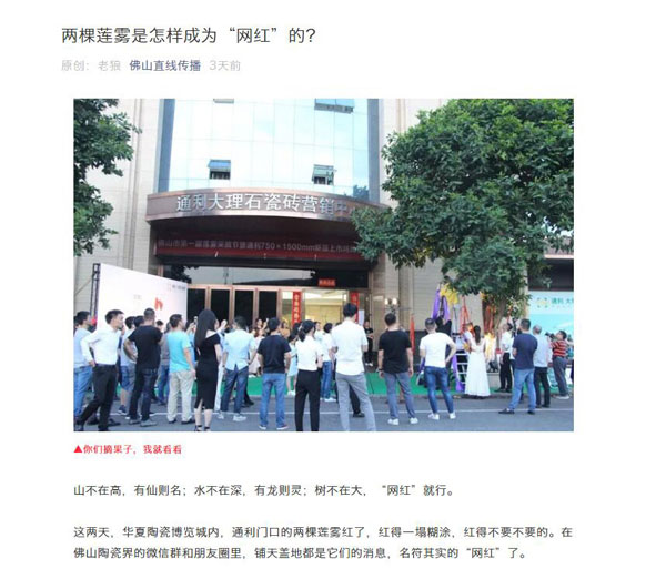 感谢！众多媒体报道“首届莲雾采摘节”！(图11)