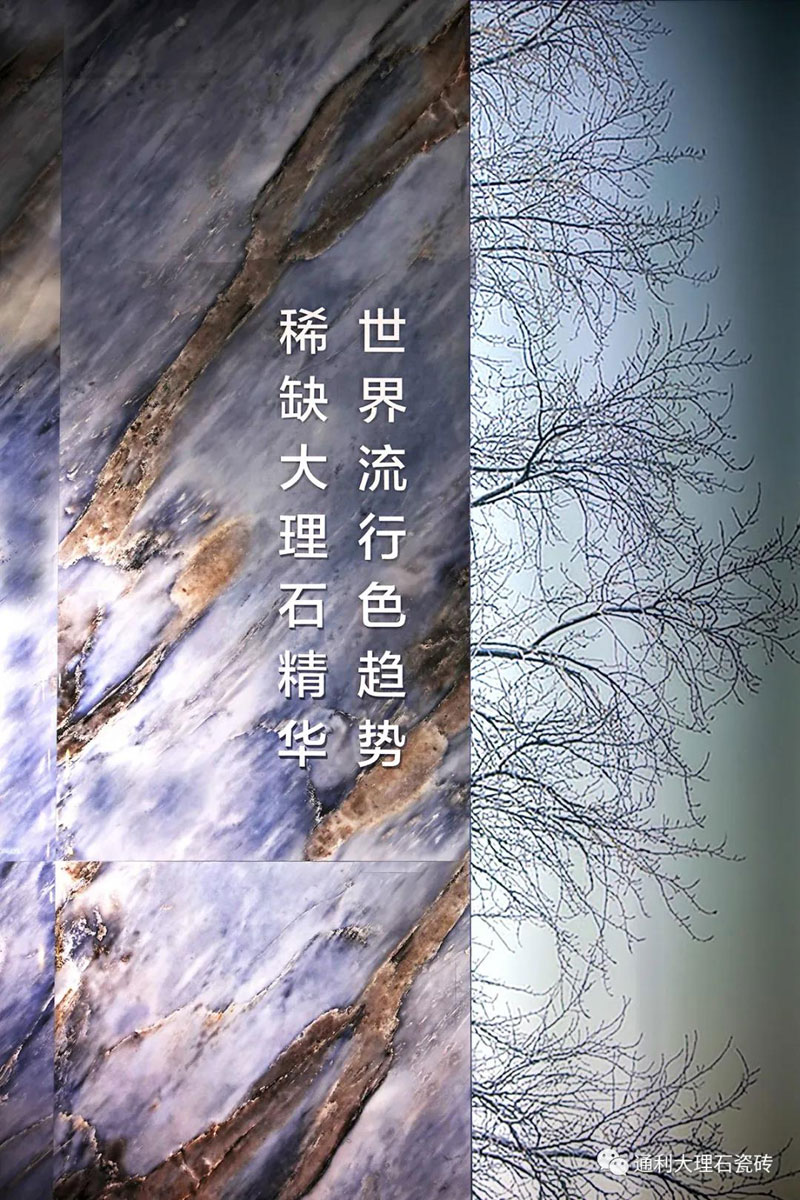 莲雾熟了！通利Lucciole·萤 诞生了！(图14)